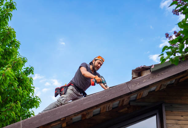 Best Roof Coating Services  in Anchor Point, AK